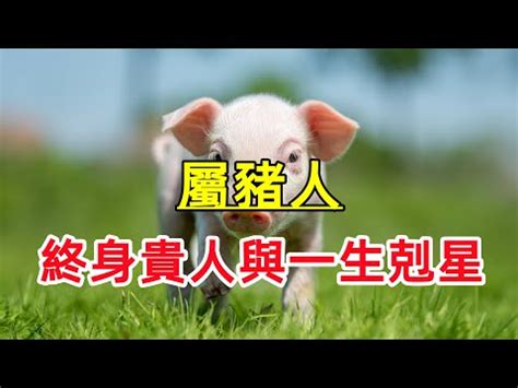 屬豬的貴人|貴人旺財，小人敗財：屬豬人命中的貴人與小人